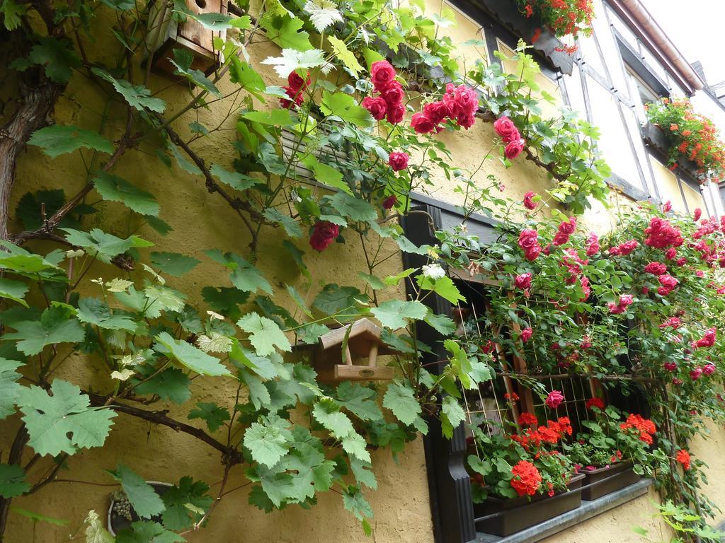 Alte Weinstuben Steinfelder Hof Garni Bed & Breakfast Ellenz-Poltersdorf Bagian luar foto