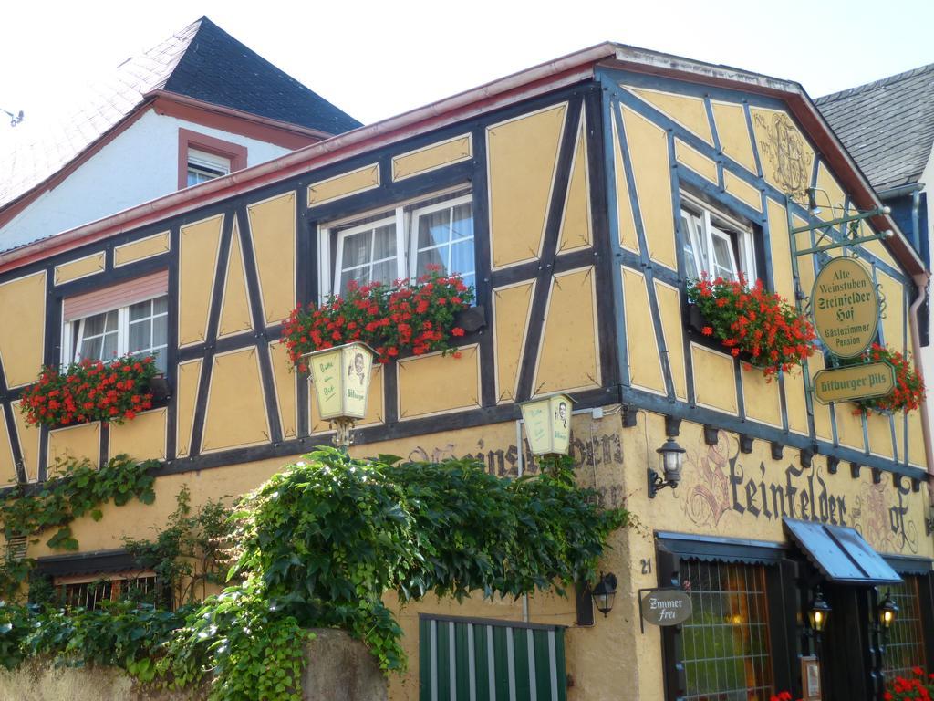 Alte Weinstuben Steinfelder Hof Garni Bed & Breakfast Ellenz-Poltersdorf Bagian luar foto
